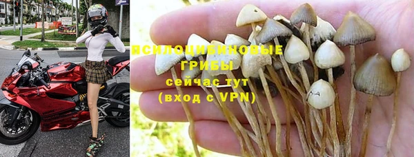 COCAINE Алзамай