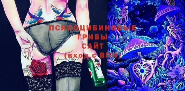 apvp Алексин